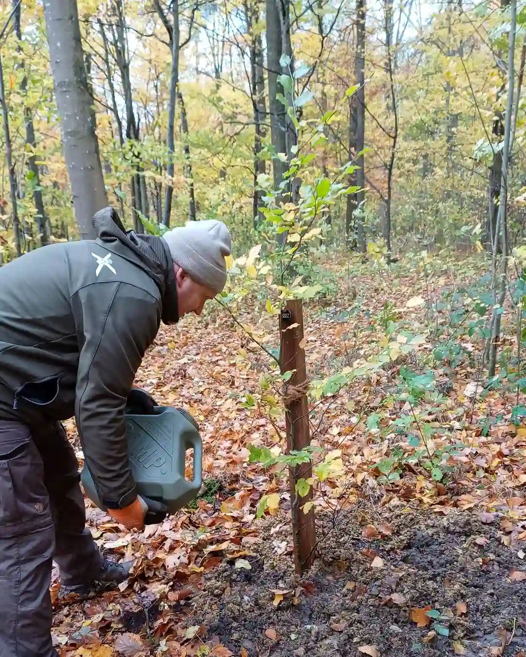 der ruhebaum wird angegossen