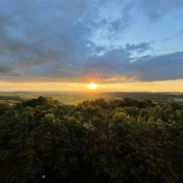 ruhebaum schillingsfürst sonnenuntergang über dem wald