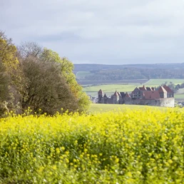ruhebaum harburg mit blick auf die harburg