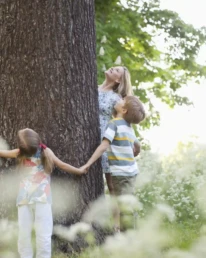 familie fasst sich an den händen und steht um einen baum herum