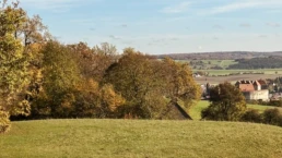 ruhebaum harburg mit blick auf schloss harburg