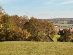 ruhebaum harburg mit blick auf schloss harburg