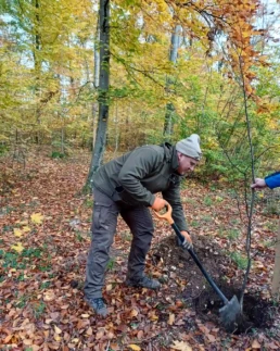 ein zukunftsbaum wird gepflanzt