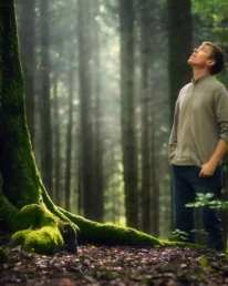 junger mann steht vor mächtiger buche und schaut nach oben