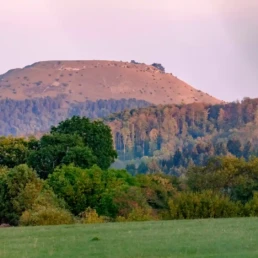 ruhebaum standort ostalb mit ipf im hintergrund