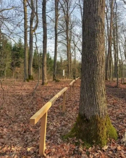 ruhebaum schillingsfürst: einfriedung aus holz