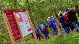 menschen während einer waldführung im ruhebaum schillingsfürst