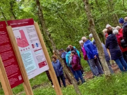 menschen während einer waldführung im ruhebaum schillingsfürst